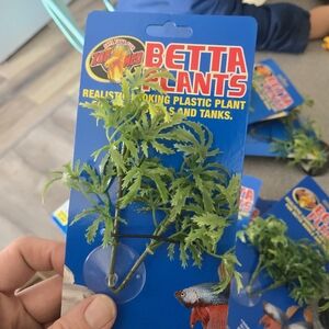 Betta Plants Green